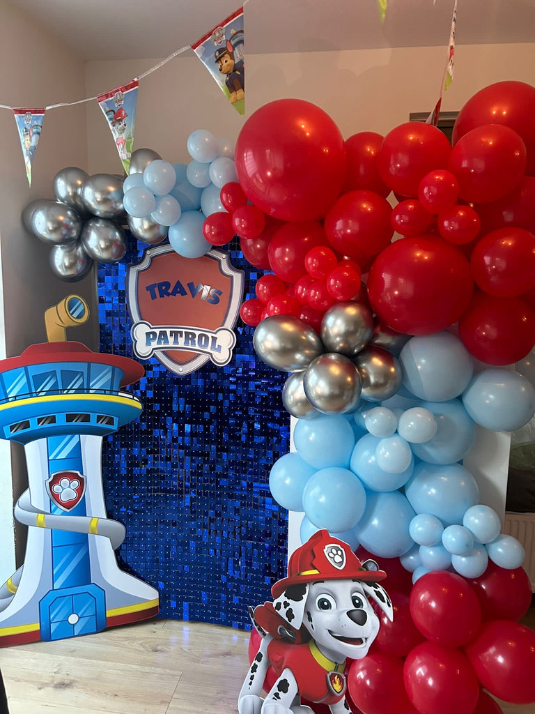 PAW PATROL KIDS PARTY